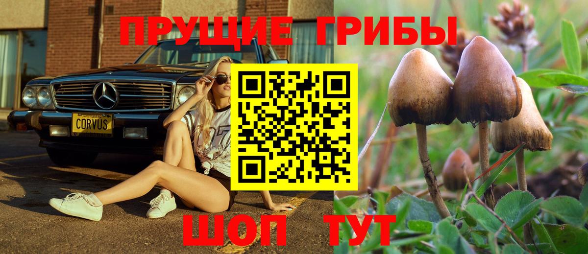 Псилоцибиновые грибы мицелий  Вход с VPN  Можга 