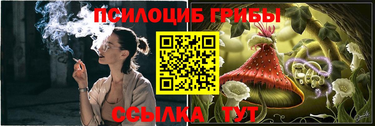 Галлюциногенные грибы Magic Shrooms Можга